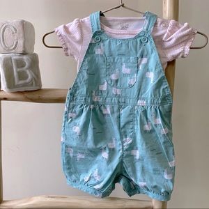 Blue Llama print Baby Girl overalls from Carter’s